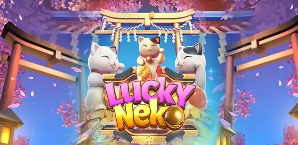 Some Features About Lucky Neko